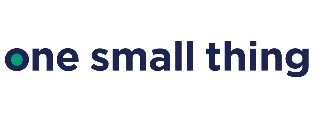 One Small Thing - a partner of the National Women's Justice Coalition