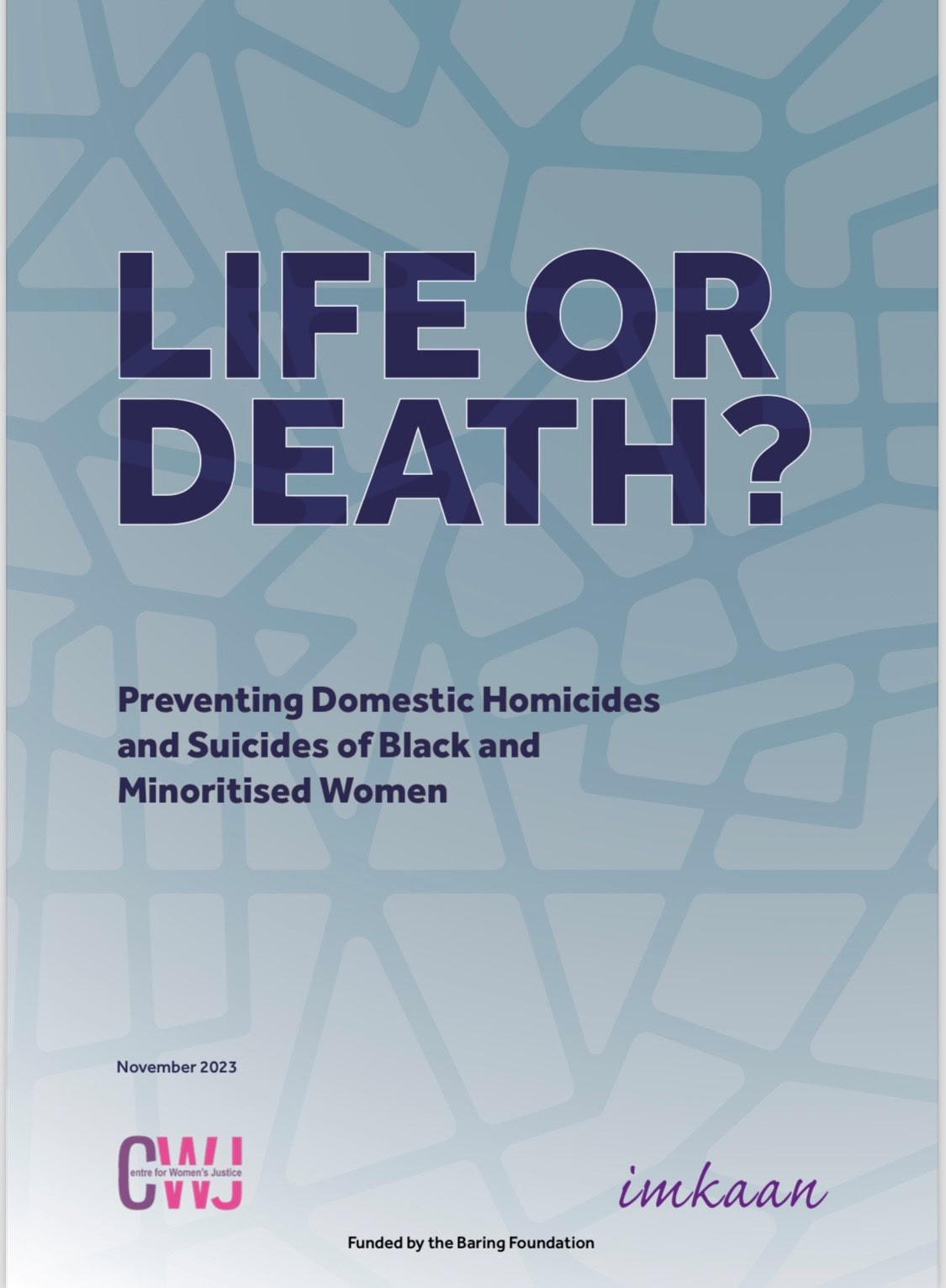 Life or Death: Preventing Domestic Homicides and Suicides of Black and ...